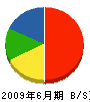 坂富士建設 貸借対照表 2009年6月期
