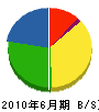 山田電機商会 貸借対照表 2010年6月期