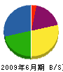 櫻井土建 貸借対照表 2009年6月期