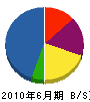 成田工業 貸借対照表 2010年6月期