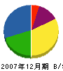 堀野電設 貸借対照表 2007年12月期