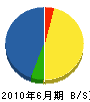薮根組 貸借対照表 2010年6月期