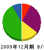 三栄電工 貸借対照表 2009年12月期