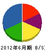 山崎・技建 貸借対照表 2012年6月期