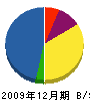 三東電設 貸借対照表 2009年12月期