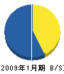 斉藤造園 貸借対照表 2009年1月期