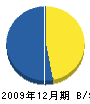 櫻井塗装店 貸借対照表 2009年12月期