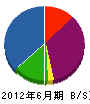 桜井管商店 貸借対照表 2012年6月期