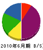九州神野 貸借対照表 2010年6月期