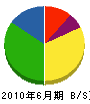 永井組 貸借対照表 2010年6月期