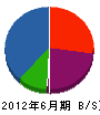 齋藤商会 貸借対照表 2012年6月期