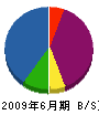 矢島建設 貸借対照表 2009年6月期
