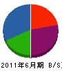 桜井管商店 貸借対照表 2011年6月期