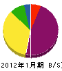 金井商店 貸借対照表 2012年1月期