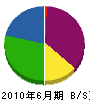 武井電設 貸借対照表 2010年6月期