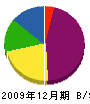田中塗装店 貸借対照表 2009年12月期