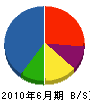 日本環境管理 貸借対照表 2010年6月期