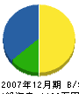 阪上造園 貸借対照表 2007年12月期