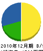 堀井電気商会 貸借対照表 2010年12月期