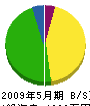 田口組 貸借対照表 2009年5月期