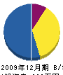 松永畳襖店 貸借対照表 2009年12月期