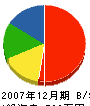 真田ガラス店 貸借対照表 2007年12月期