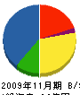 菅原電気 貸借対照表 2009年11月期