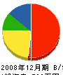 真田ガラス店 貸借対照表 2008年12月期