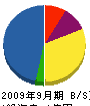 浜田電気商会 貸借対照表 2009年9月期