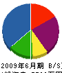 新栄テック 貸借対照表 2009年6月期