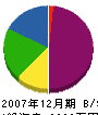 田中塗装店 貸借対照表 2007年12月期