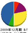紫垣設備 貸借対照表 2009年12月期
