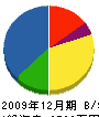 塚田組 貸借対照表 2009年12月期