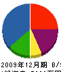 ハヤシ創建 貸借対照表 2009年12月期 ハヤシ創建 貸借対照表 2009年12月期