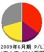 岩本工業 損益計算書 2009年6月期