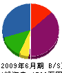 グリーンフォーラム沖縄 貸借対照表 2009年6月期
