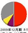 田島電気 損益計算書 2009年12月期