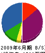 飯田園芸 貸借対照表 2009年6月期