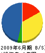 厚木植木 貸借対照表 2009年6月期