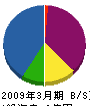 伯井商店 貸借対照表 2009年3月期