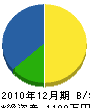 平沢電気商会 貸借対照表 2010年12月期