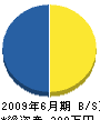 アドヴァンステクノ 貸借対照表 2009年6月期