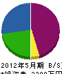 新井電設 貸借対照表 2012年5月期