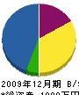 大島塗装 貸借対照表 2009年12月期