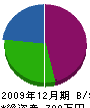 藤本塗装 貸借対照表 2009年12月期