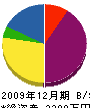 山榮工務店 貸借対照表 2009年12月期