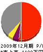 岩崎電機設備 損益計算書 2009年12月期
