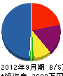 斎藤塗装 貸借対照表 2012年9月期