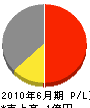 *電 損益計算書 2010年6月期 *電 損益計算書 2010年6月期