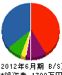 斉藤電設工業所 貸借対照表 2012年6月期